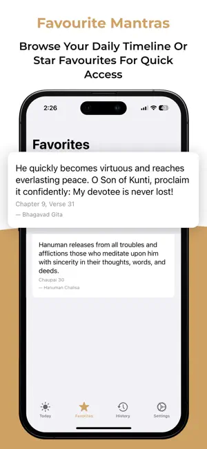Daily Mantras · Gita & Chalisa screenshot 3