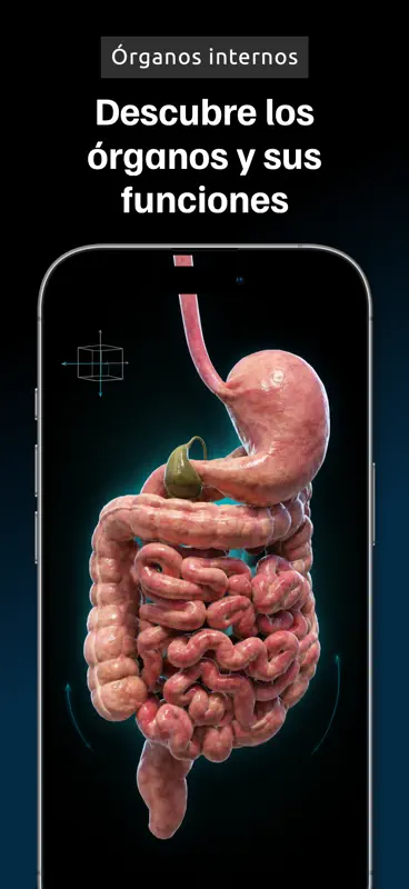 Anatomía 3D Atlas: Cuerpo screenshot 5 of 6