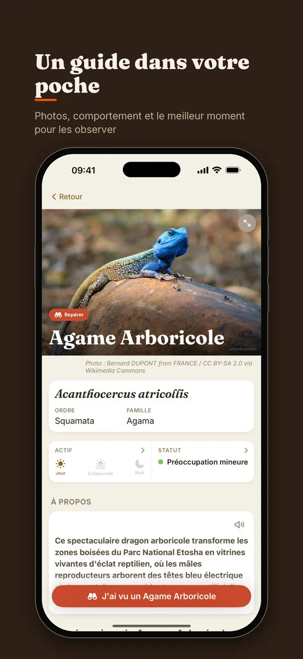 Screenshot #3 pour Etosha Safari: Carte & Guide