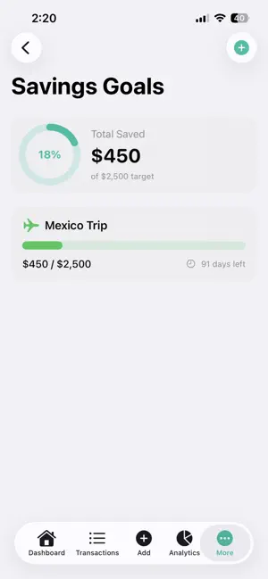 BudgetFlo screenshot 2