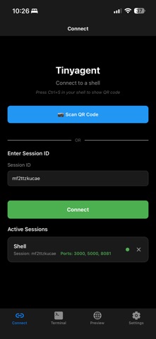 Tinyagent screenshot