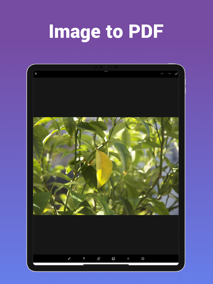 Pics2PDF - Pics into Pdf