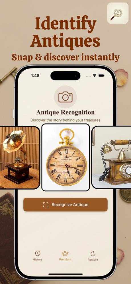 Antique Identifier: AntiqueGo screenshot 2