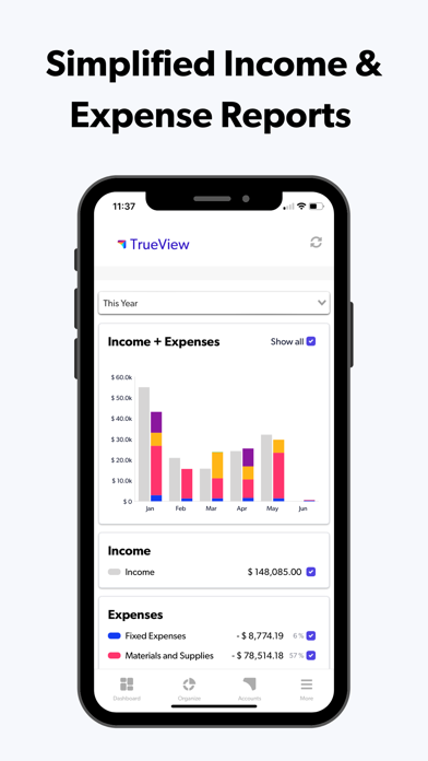 TrueView: Simple Money System Screenshot