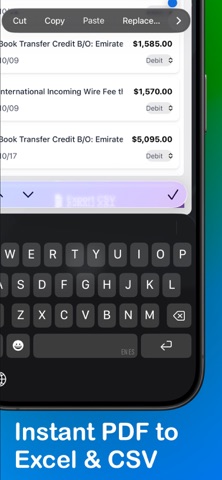StatementSnap – Bank Converter screenshot