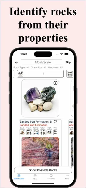 StoneID Rock Identifier screenshot 2