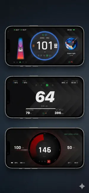 TPlayer for Tesla screenshot 1