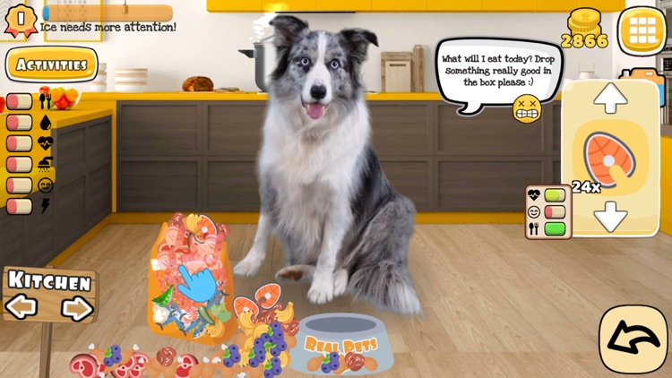 Fruwee: Virtual Pet Dog Games