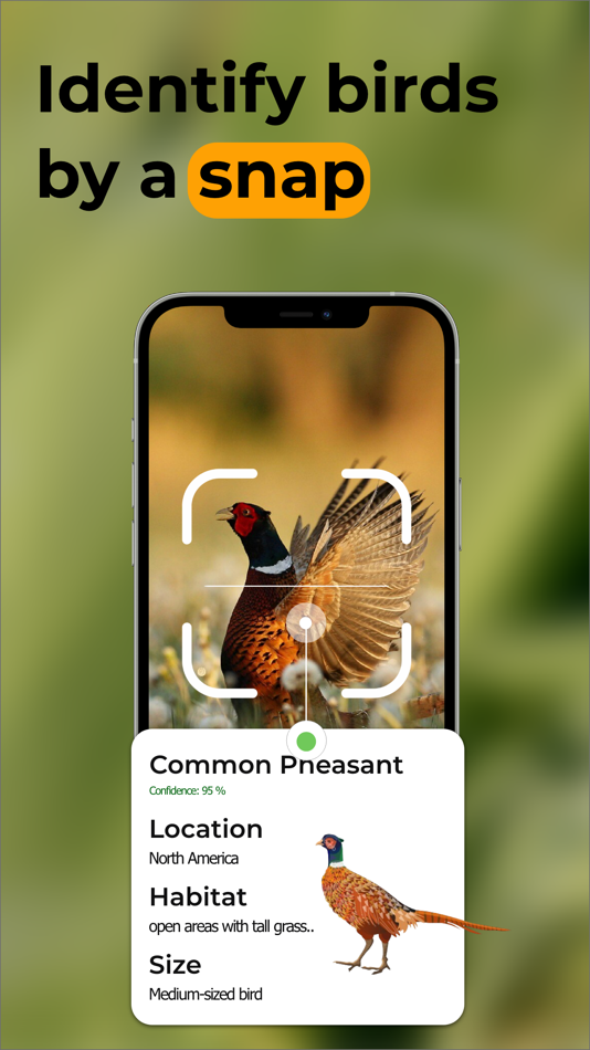 #4. Bird Call Identifier - Bird ID (iOS) 由: Younes Oubari