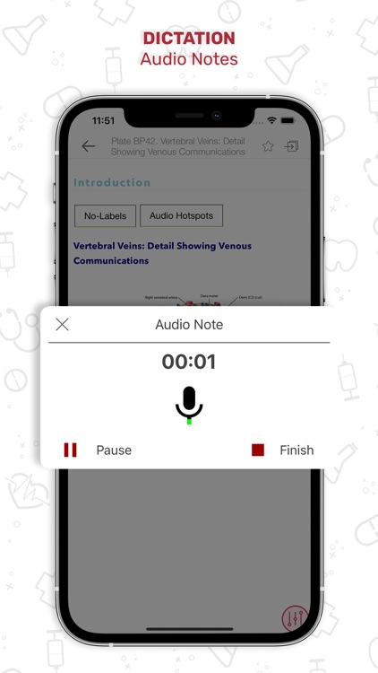 Human Anatomy Atlas + screenshot-9