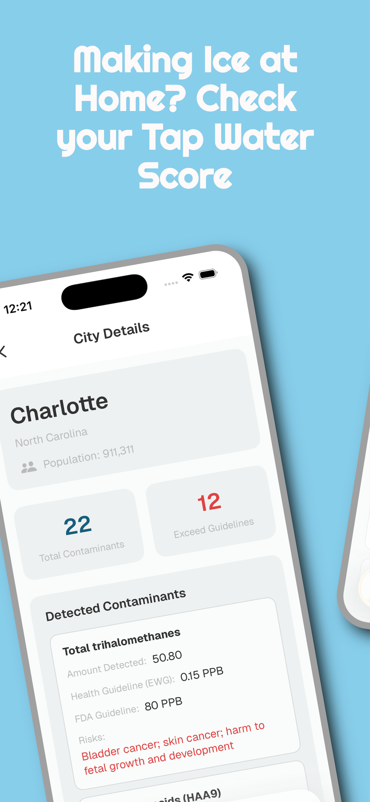 IceScore