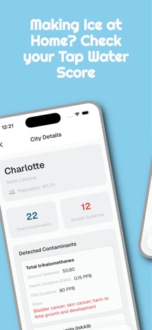 IceScore screenshot