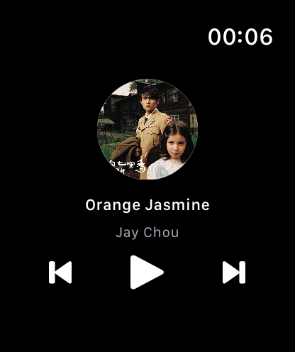Mint Offline Music Player