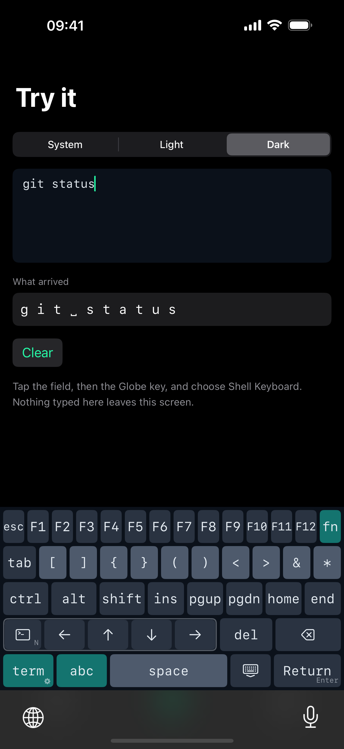 Screenshot