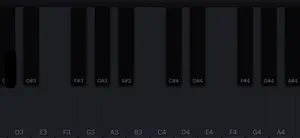 AllyPiano screenshot 2