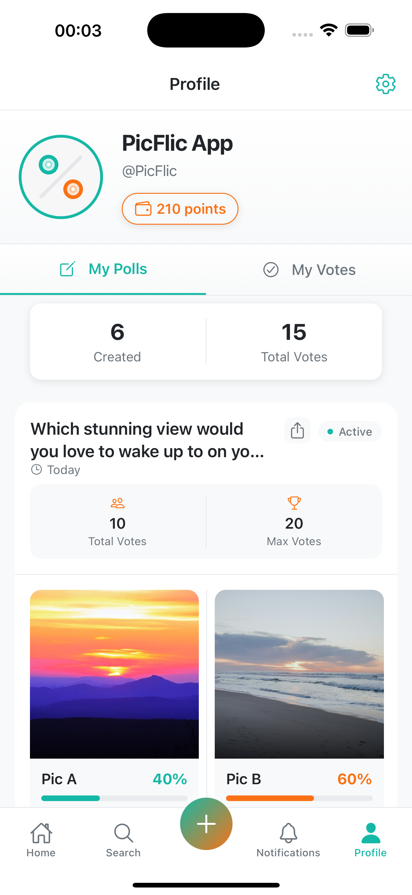 PicFlic screenshot 4