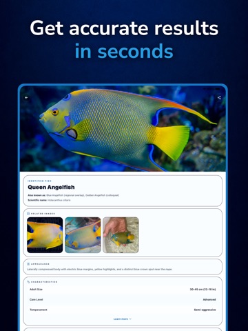 Fish Identifier: Fishly iPad screenshot