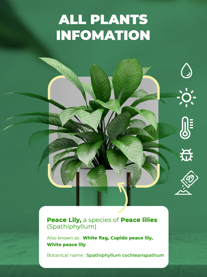 Planet - AI Plant Identifier