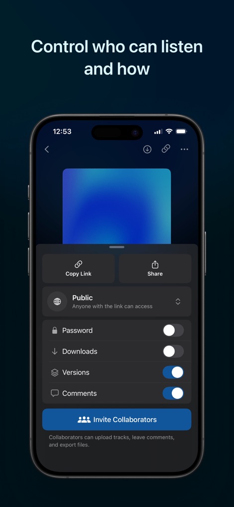 Samply - Listen & Share - Exercise complete control over shared audio using customizable access settings like password protection and toggles for downloads and comments.