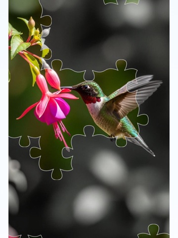Jigsaw Zen iPad screenshot