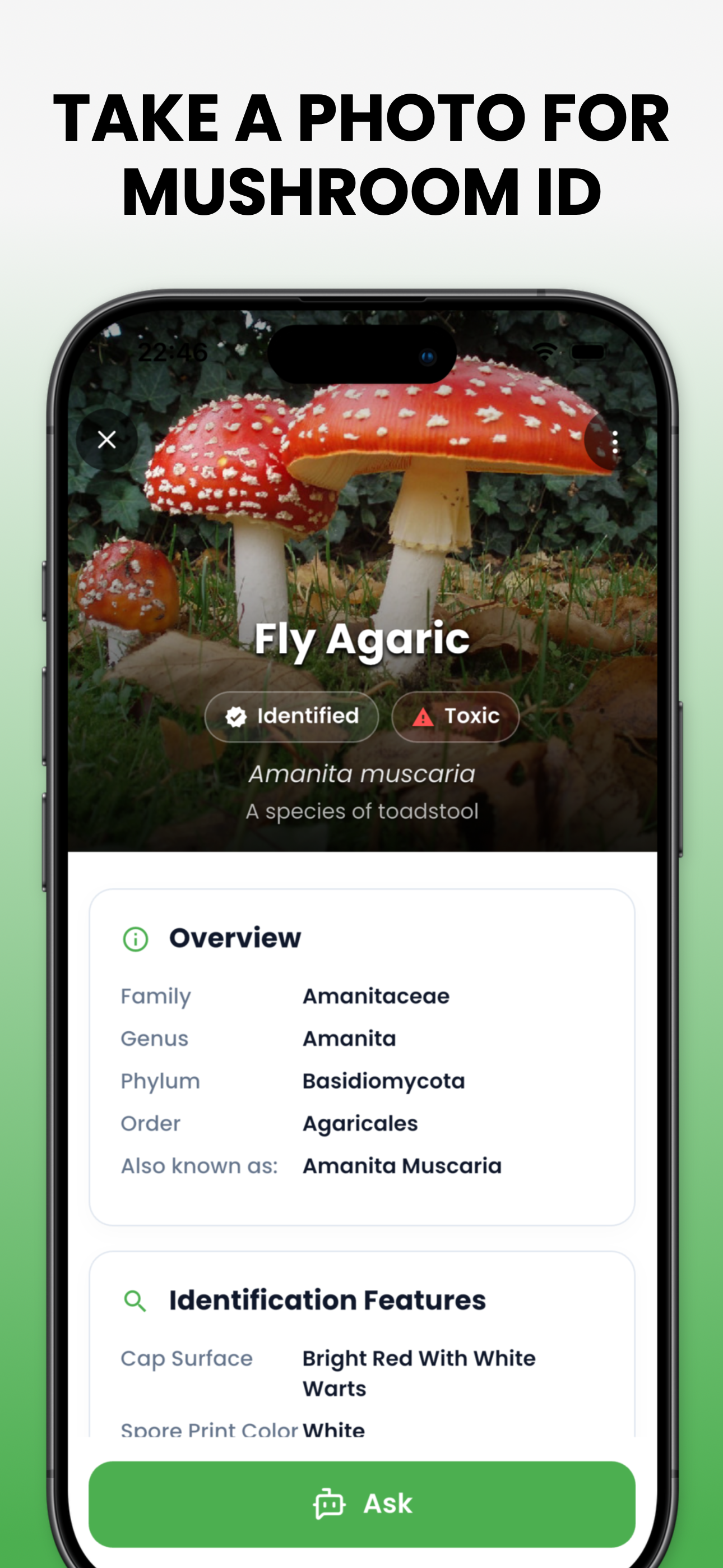 Mushroom Identifier - Mushby