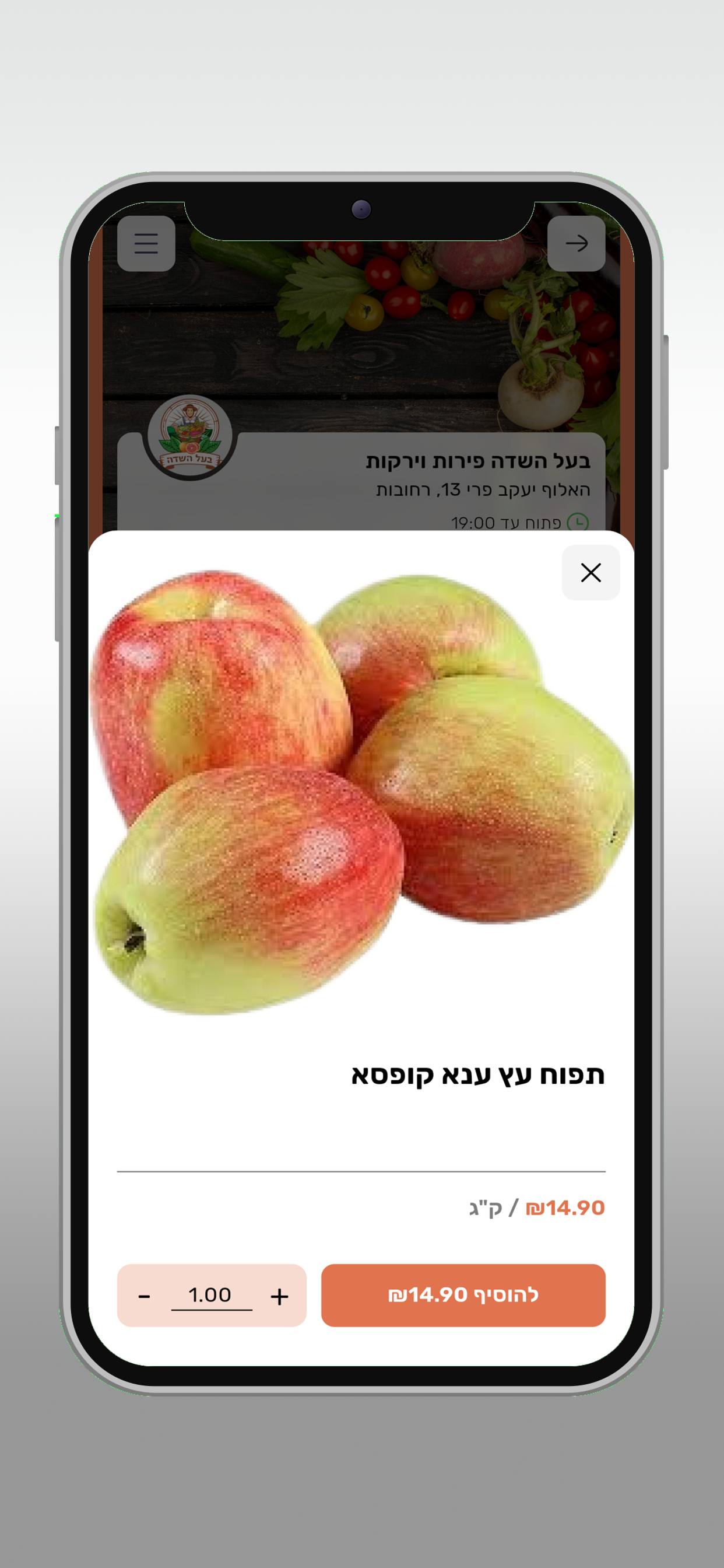 בעל השדה