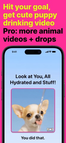 Drink Water Dummy: H20 Tracker screenshot