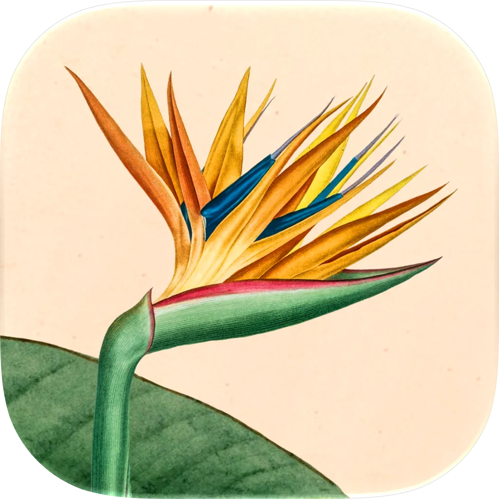 Art of Flora: Cozy Jigsaw
