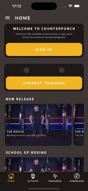 Counter Punch Boxing screenshot 1