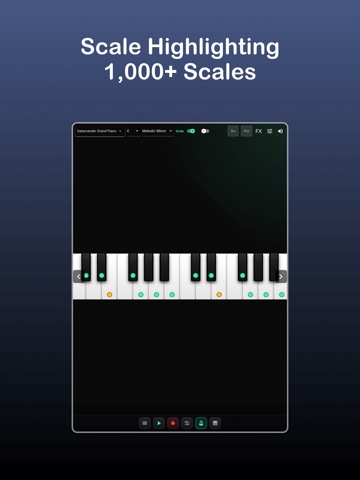 Melodic Piano iPad screenshot