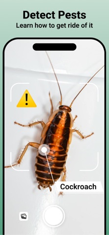 iBug: Insect & Bug Identifier Screenshot 3 of 8
