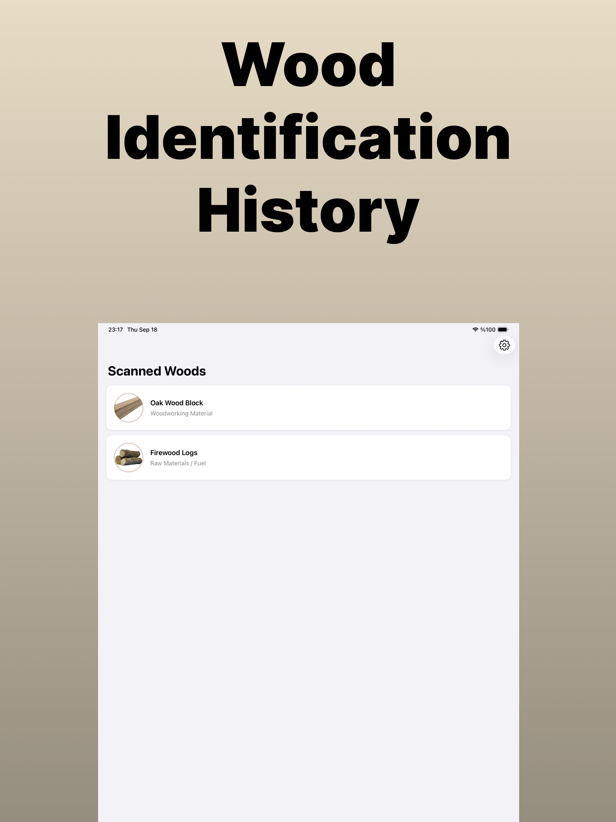 Grainy: Wood Identifier