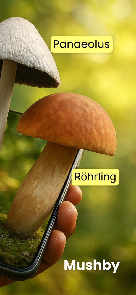 Pilze Bestimmen - Mushby screenshot 2