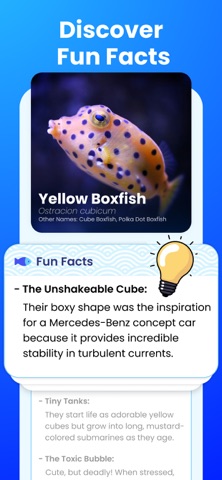 AI Fish Identifier by Picture iPhone screenshot