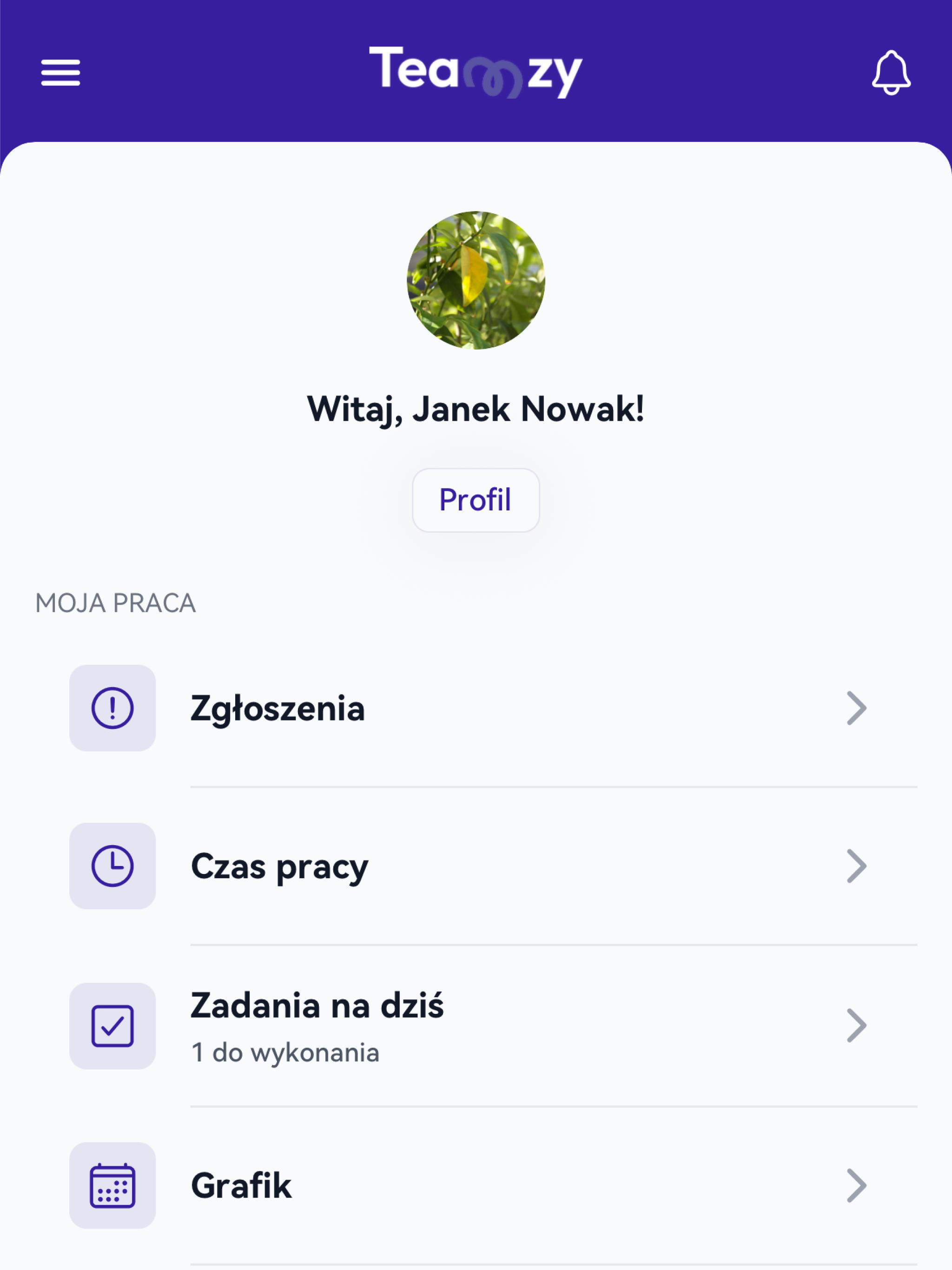 Teamzy