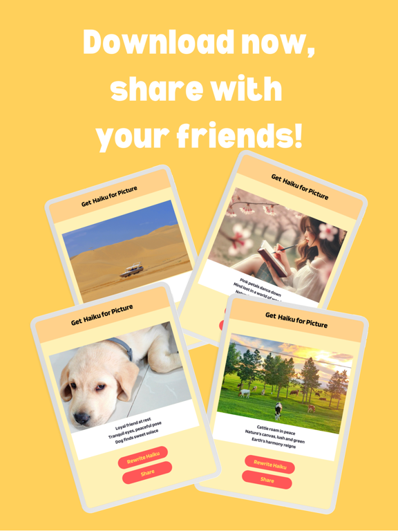 Haiku Camera iPad screenshot 5 - Photo & Video app