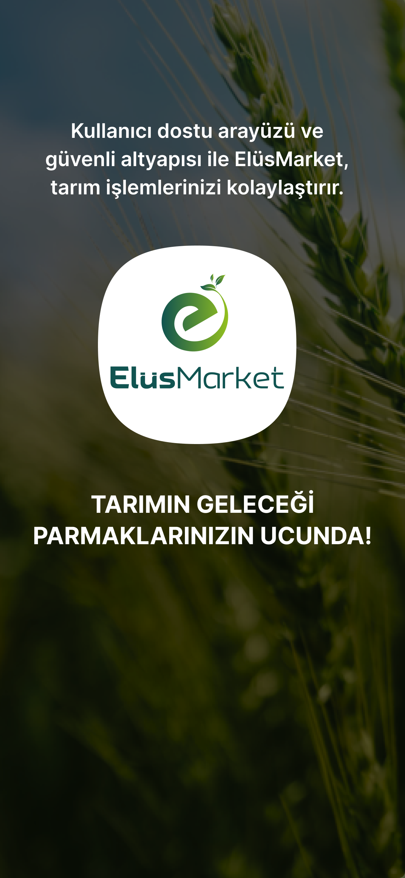 ElusMarket