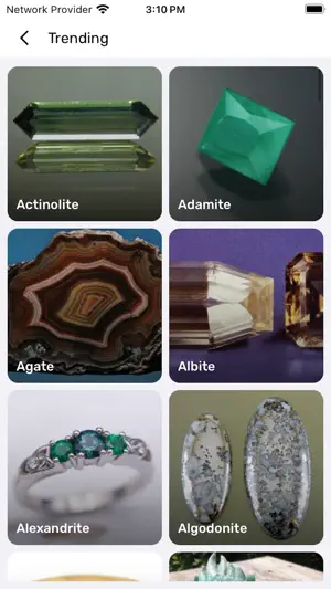Rock Finder : Stone ID screenshot 2