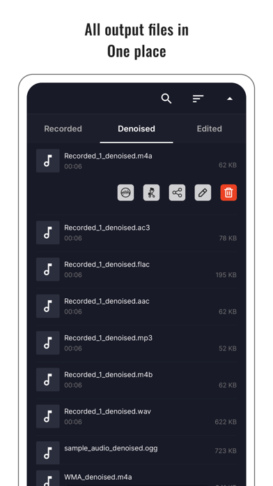 Audio Noise Reducer & Recorder screenshot