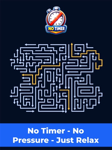 Tap Away: Arrow Puzzle iPad screenshot