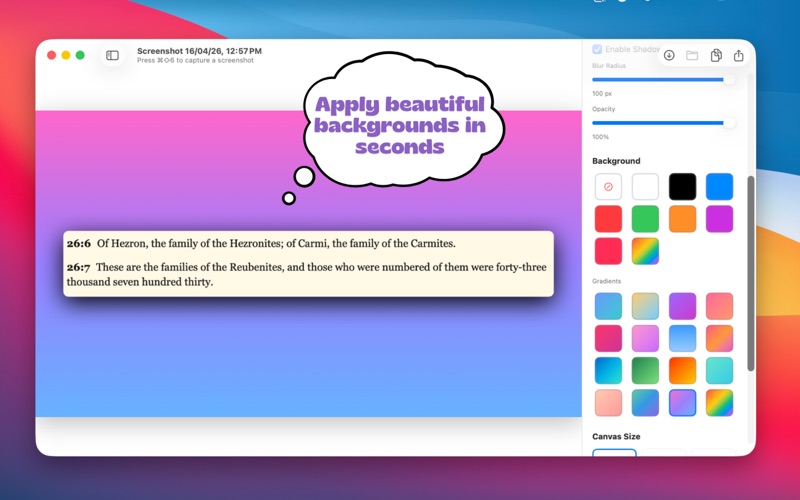 WPSnapEditor screenshot