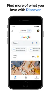 Google screenshot 1