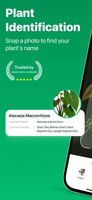 Plant ID - AI Identify Plants screenshot 1