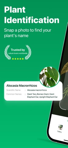 Plant ID - AI Identify Plants iPhone screenshot
