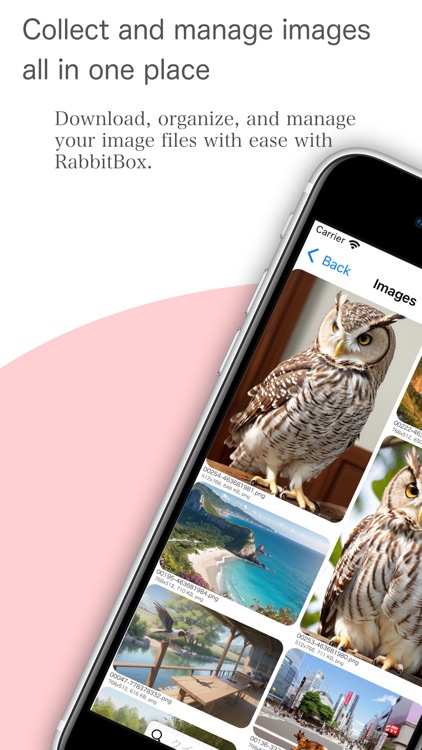 RabbitBox - Image Organizer