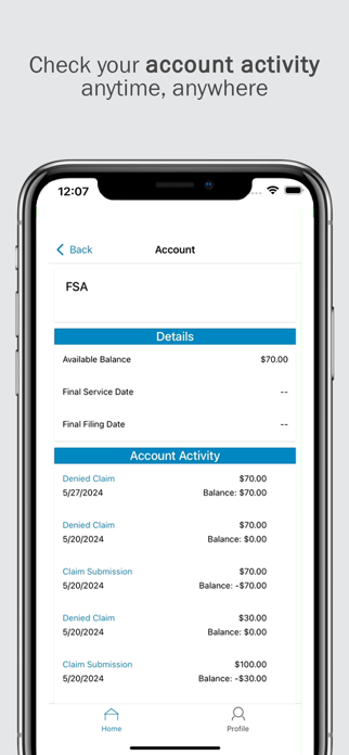 BSi Companies Screenshot 3 of 3
