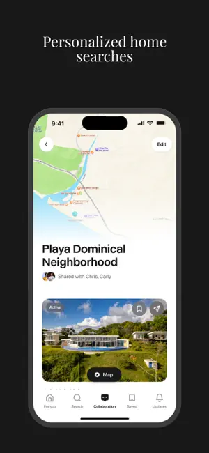 Daveed Hollander screenshot 3