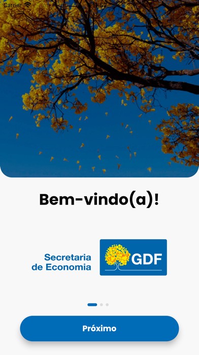 Economia DF Screenshot