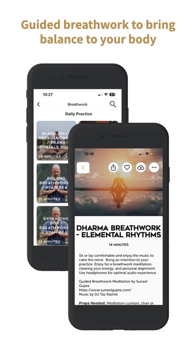 Soul Groove Wellness iPhone screenshot