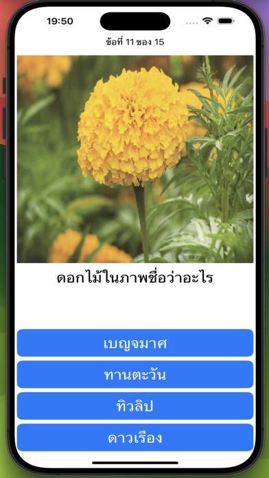 ตอบคำถาม ความรู้รอบตัว Screenshot